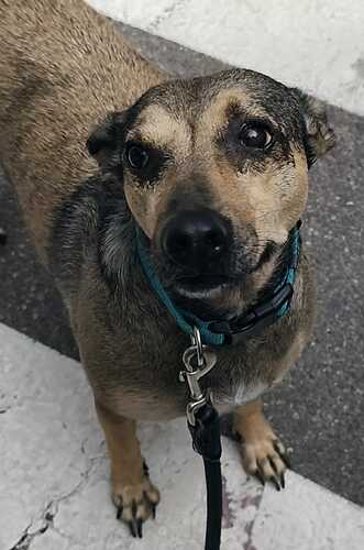 P1494 -Gea P1494 -Gea