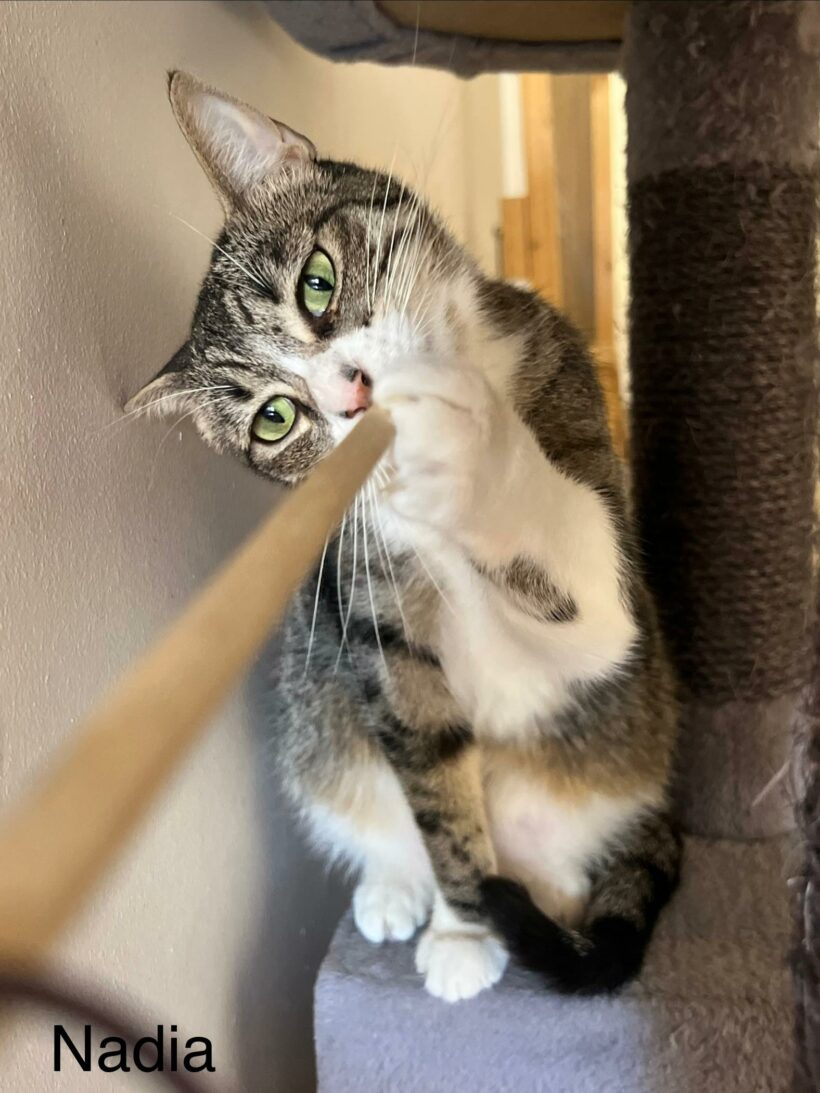 NADIA NADIA