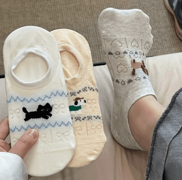 socks6