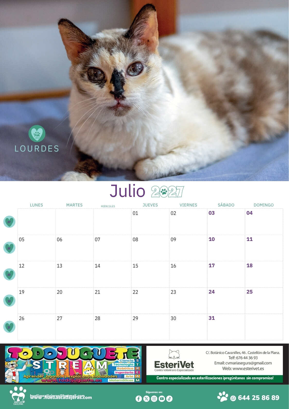CALENDARIO PARED 2027 2