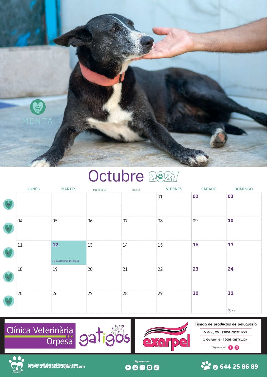 CALENDARIO PARED 2027 3